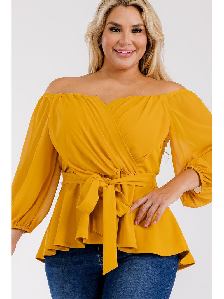Tina Plus Size Top with Chiffon Sleeves